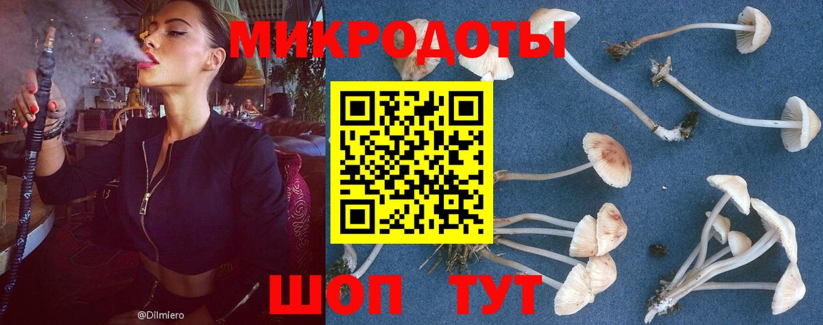 Галлюциногенные грибы Psilocybe  Вход с VPN  даркнет сайт  Псков 